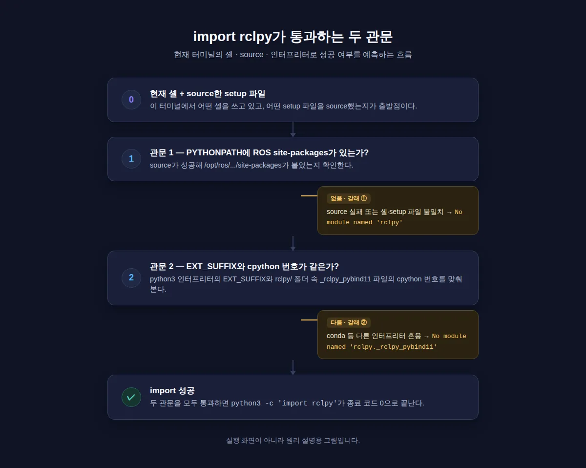 한 터미널에서 import rclpy가 통과하는 두 관문을 그린 개념 흐름도. PYTHONPATH 관문을 통과하지 못하면 No module named 'rclpy', EXT_SUFFIX와 cpython 번호 관문을 통과하지 못하면 No module named 'rclpy._rclpy_pybind11', 둘 다 통과하면 import 성공으로 이어진다.